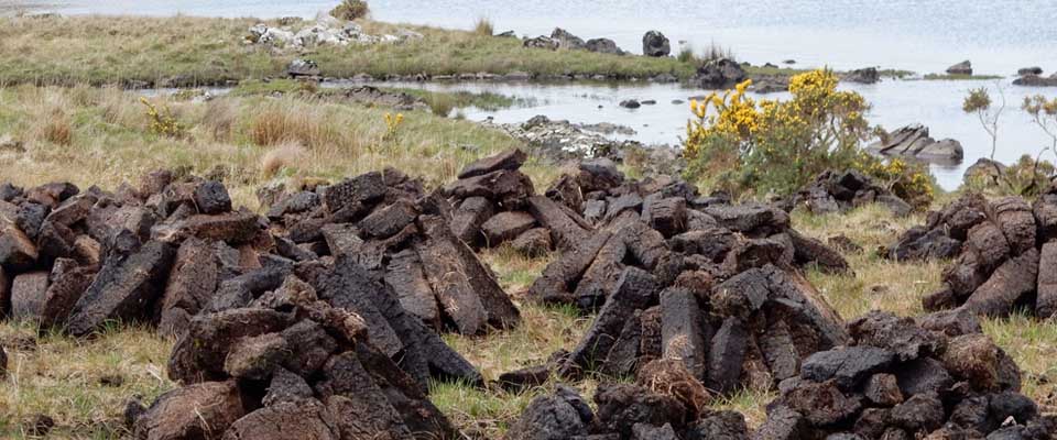 bogs-of-ireland_1.jpg