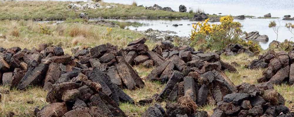 Bogs of Ireland