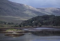 Ireland on Screen